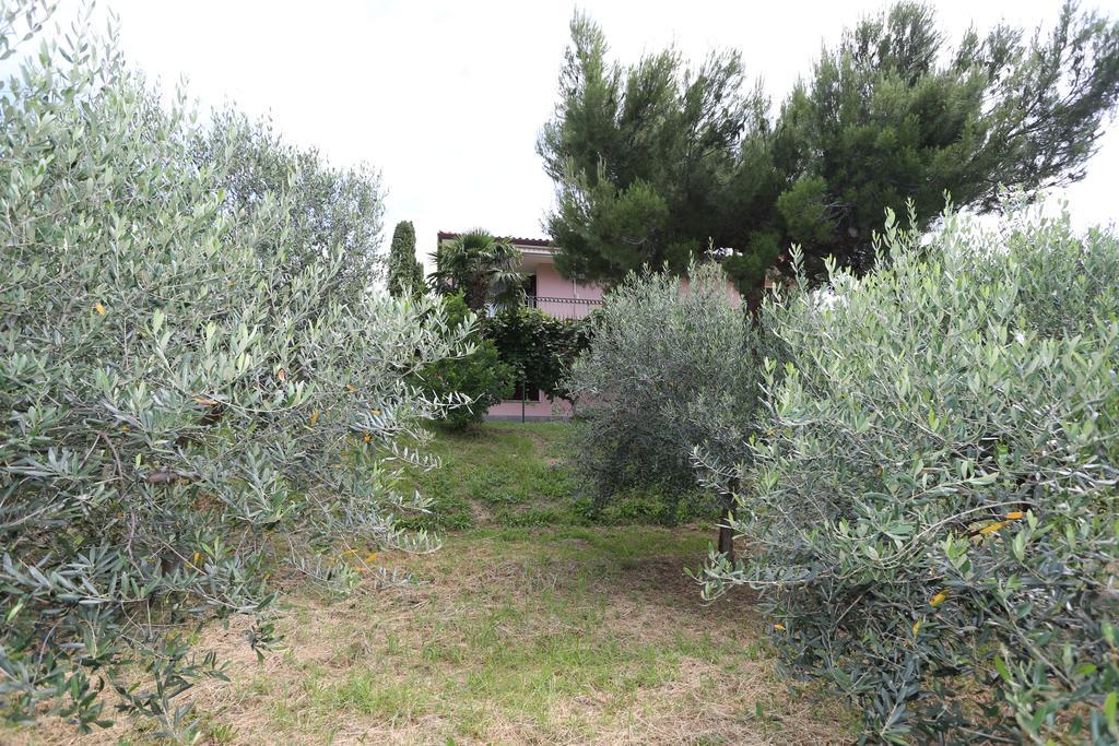 Mejak & Bordon Villa Sečovlje Eksteriør billede